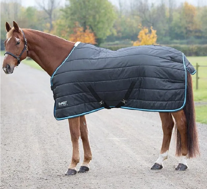Shires Tempest Stable Rug 200g Black/Turquoise
